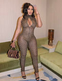 “Wild Cat “ Bodysuit